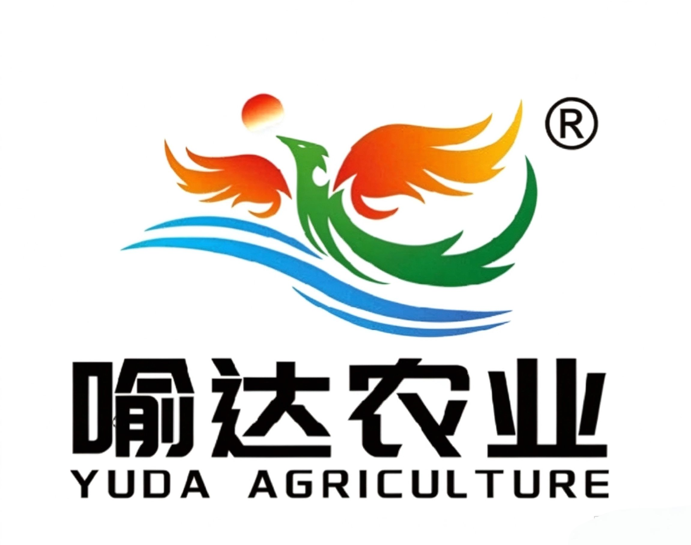喻达农业-卤甲鱼礼盒，美味实惠的本地特色礼品 图片