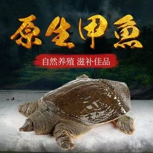 喻达农业-卤甲鱼礼盒，美味实惠的本地特色礼品 图片